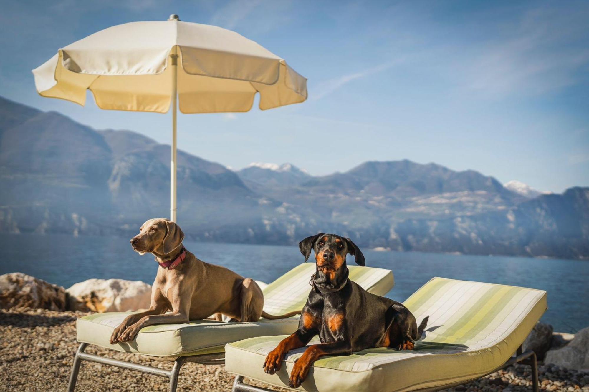 Casa Vacanze Monte Galetto Bussolengo Zewnętrze zdjęcie